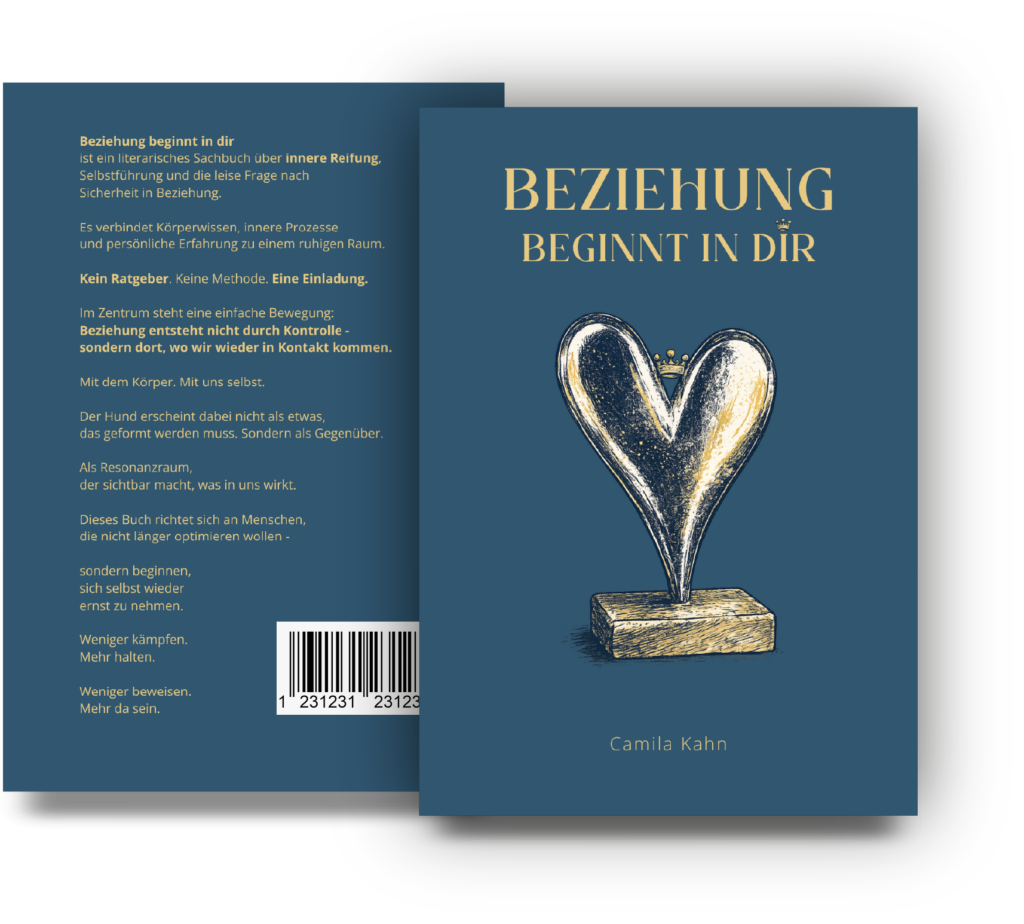 Book cover: Title 'Beziehung beginnt in dir' with heart sculpture illustration and author Camila Kahn on blue background, plus a barcode area on the back edge.