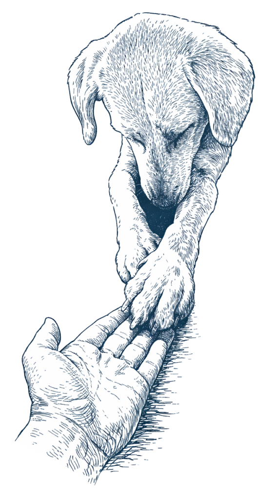 Line drawing of a dog placing its paw on a person’s hand in a gentle greeting.