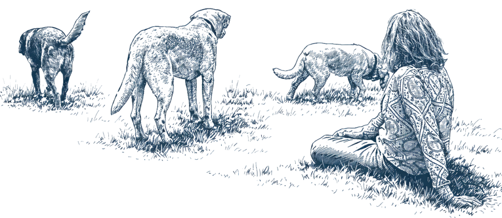 Person sitting on grassy ground as three dogs roam and sniff around in an open field (blue sketch illustration)./Signal: Informative scene of a person with dogs outdoors.
